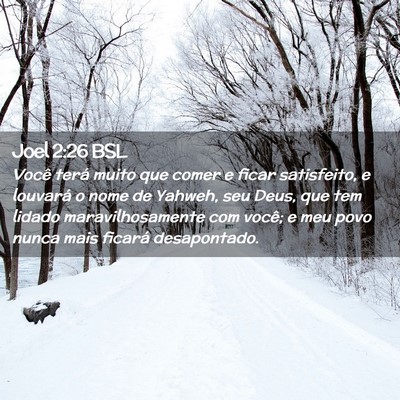 Picture 02 - Joel 2:26 BSL - Você terá muito que comer e ficar satisfeito, e - Bible Verse Picture