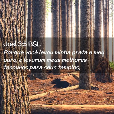Picture 02 - Joel 3:5 BSL - Porque você levou minha prata e meu ouro, e - Bible Verse Picture