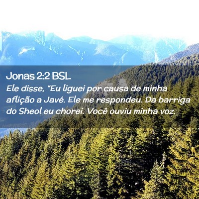 Picture 02 - Jonas 2:2 BSL - Ele disse, “Eu liguei por causa de minha - Bible Verse Picture