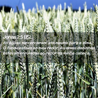 Picture 02 - Jonas 2:5 BSL - As águas me cercaram, até mesmo para a alma. O - Bible Verse Picture