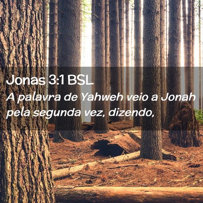 Picture 02 - Jonas 3:1 BSL - A palavra de Yahweh veio a Jonah pela segunda - Bible Verse Picture
