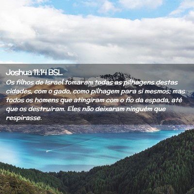 Picture 02 - Joshua 11:14 BSL - Os filhos de Israel tomaram todas as pilhagens - Bible Verse Picture
