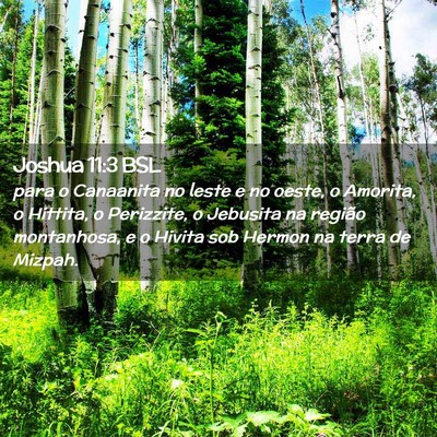 Picture 02 - Joshua 11:3 BSL - para o Canaanita no leste e no oeste, o Amorita, - Bible Verse Picture