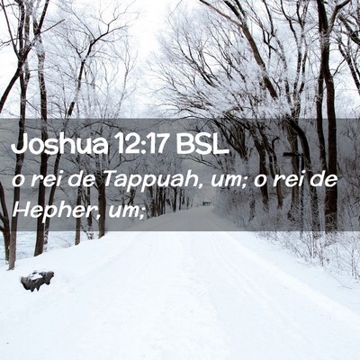 Picture 02 - Joshua 12:17 BSL - o rei de Tappuah, um; o rei de Hepher, - Bible Verse Picture