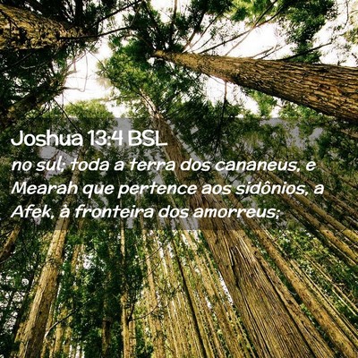 Picture 02 - Joshua 13:4 BSL - no sul; toda a terra dos cananeus, e Mearah que - Bible Verse Picture