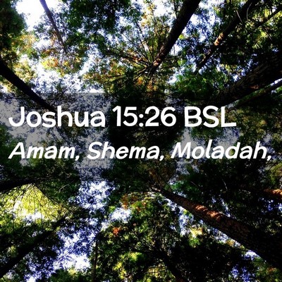 Picture 02 - Joshua 15:26 BSL - Amam, Shema, - Bible Verse Picture