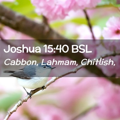 Picture 02 - Joshua 15:40 BSL - Cabbon, Lahmam, - Bible Verse Picture
