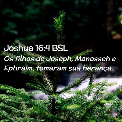 Picture 02 - Joshua 16:4 BSL - Os filhos de Joseph, Manasseh e Ephraim, tomaram - Bible Verse Picture
