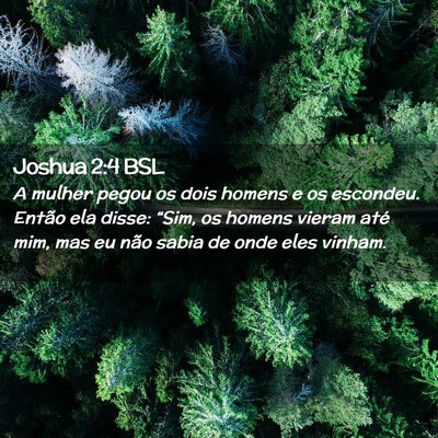 Picture 02 - Joshua 2:4 BSL - A mulher pegou os dois homens e os escondeu. - Bible Verse Picture