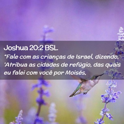 Picture 02 - Joshua 20:2 BSL - “Fale com as crianças de Israel, dizendo, - Bible Verse Picture