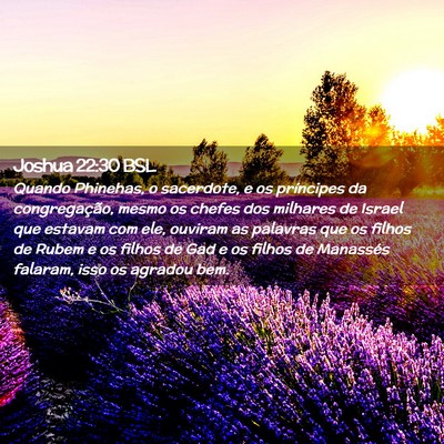Picture 02 - Joshua 22:30 BSL - Quando Phinehas, o sacerdote, e os príncipes da - Bible Verse Picture