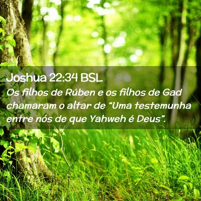 Picture 02 - Joshua 22:34 BSL - Os filhos de Rúben e os filhos de Gad chamaram o - Bible Verse Picture