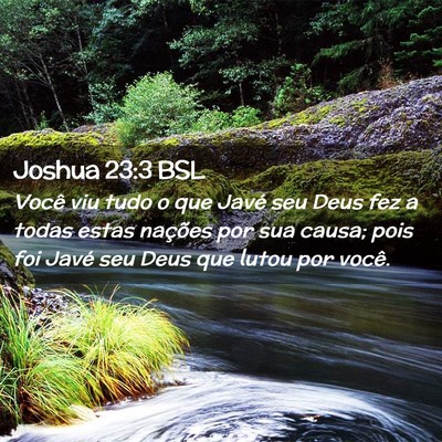 Picture 02 - Joshua 23:3 BSL - Você viu tudo o que Javé seu Deus fez a todas - Bible Verse Picture