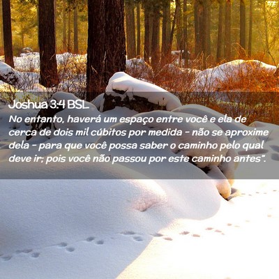 Picture 02 - Joshua 3:4 BSL - No entanto, haverá um espaço entre você e ela - Bible Verse Picture