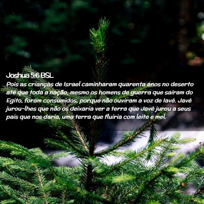 Picture 02 - Joshua 5:6 BSL - Pois as crianças de Israel caminharam quarenta - Bible Verse Picture