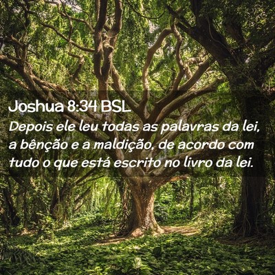 Picture 02 - Joshua 8:34 BSL - Depois ele leu todas as palavras da lei, a - Bible Verse Picture
