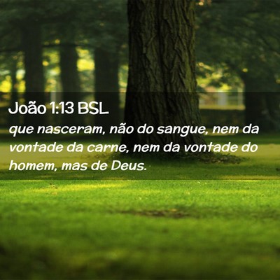 Picture 02 - João 1:13 BSL - que nasceram, não do sangue, nem da vontade da - Bible Verse Picture