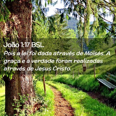 Picture 02 - João 1:17 BSL - Pois a lei foi dada através de Moisés. A graça - Bible Verse Picture