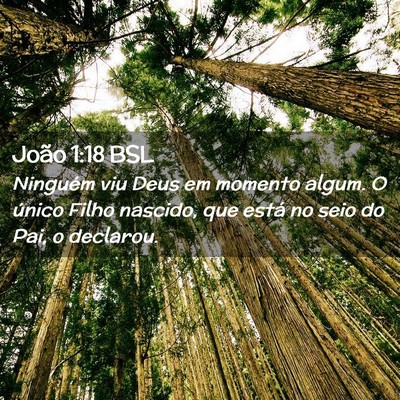 Picture 02 - João 1:18 BSL - Ninguém viu Deus em momento algum. O único - Bible Verse Picture