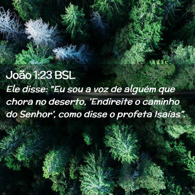 Picture 02 - João 1:23 BSL - Ele disse: “Eu sou a voz de alguém que chora - Bible Verse Picture