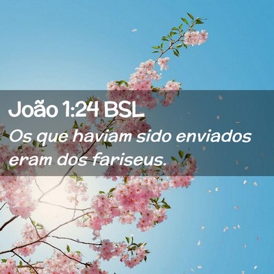 Picture 02 - João 1:24 BSL - Os que haviam sido enviados eram dos - Bible Verse Picture