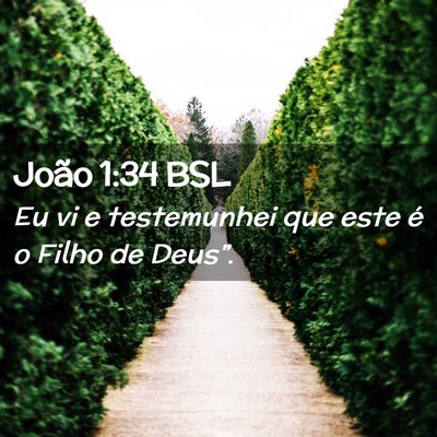 Picture 02 - João 1:34 BSL - Eu vi e testemunhei que este é o Filho de - Bible Verse Picture