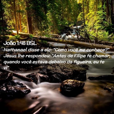 Picture 02 - João 1:48 BSL - Nathanael disse a ele: “Como você me - Bible Verse Picture