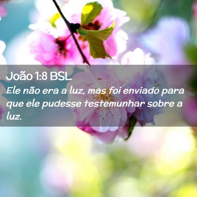 Picture 02 - João 1:8 BSL - Ele não era a luz, mas foi enviado para que ele - Bible Verse Picture