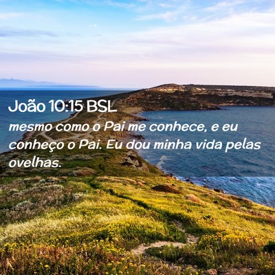 Picture 02 - João 10:15 BSL - mesmo como o Pai me conhece, e eu conheço o Pai. - Bible Verse Picture