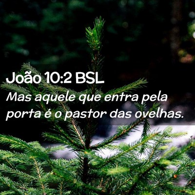 Picture 02 - João 10:2 BSL - Mas aquele que entra pela porta é o pastor das - Bible Verse Picture