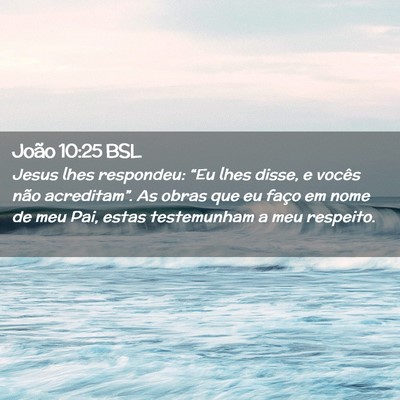 Picture 02 - João 10:25 BSL - Jesus lhes respondeu: “Eu lhes disse, e vocês - Bible Verse Picture