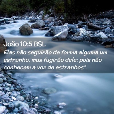 Picture 02 - João 10:5 BSL - Elas não seguirão de forma alguma um estranho, - Bible Verse Picture