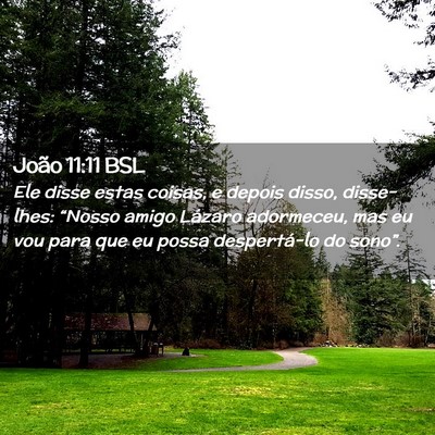 Picture 02 - João 11:11 BSL - Ele disse estas coisas, e depois disso, - Bible Verse Picture
