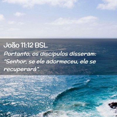 Picture 02 - João 11:12 BSL - Portanto, os discípulos disseram: “Senhor, se - Bible Verse Picture