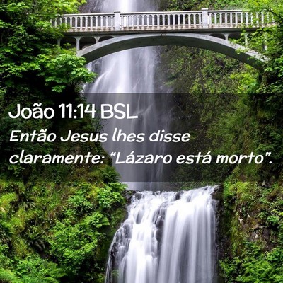 Picture 02 - João 11:14 BSL - Então Jesus lhes disse claramente: “Lázaro - Bible Verse Picture