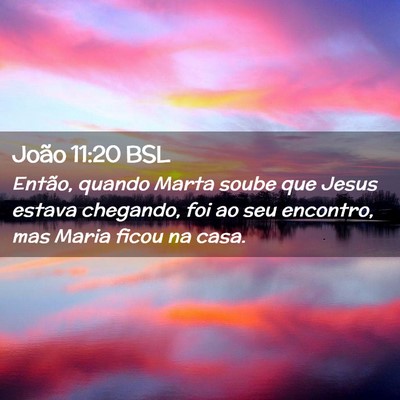 Picture 02 - João 11:20 BSL - Então, quando Marta soube que Jesus estava - Bible Verse Picture