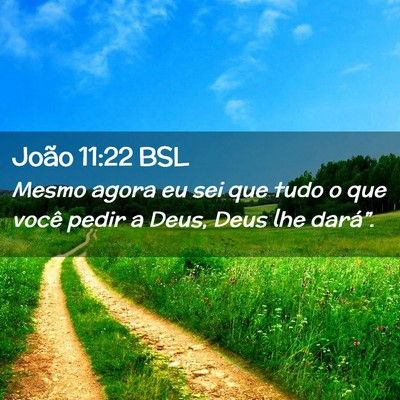 Picture 02 - João 11:22 BSL - Mesmo agora eu sei que tudo o que você pedir a - Bible Verse Picture
