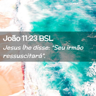Picture 02 - João 11:23 BSL - Jesus lhe disse: “Seu irmão - Bible Verse Picture