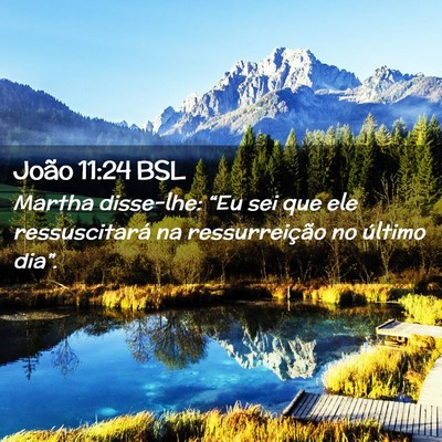 Picture 02 - João 11:24 BSL - Martha disse-lhe: “Eu sei que ele ressuscitará - Bible Verse Picture