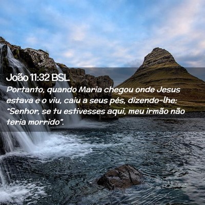 Picture 02 - João 11:32 BSL - Portanto, quando Maria chegou onde Jesus estava e - Bible Verse Picture