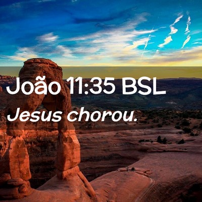 Picture 02 - João 11:35 BSL - Jesus - Bible Verse Picture