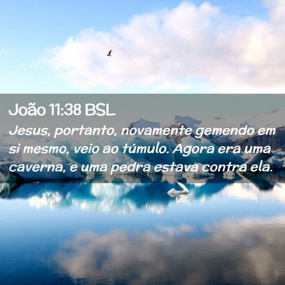 Picture 02 - João 11:38 BSL - Jesus, portanto, novamente gemendo em si mesmo, - Bible Verse Picture