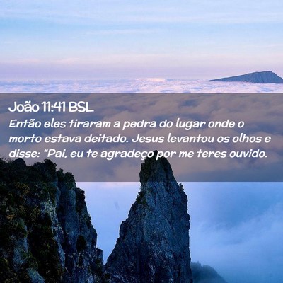 Picture 02 - João 11:41 BSL - Então eles tiraram a pedra do lugar onde o morto - Bible Verse Picture