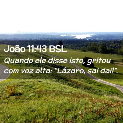 Picture 02 - João 11:43 BSL - Quando ele disse isto, gritou com voz alta: - Bible Verse Picture