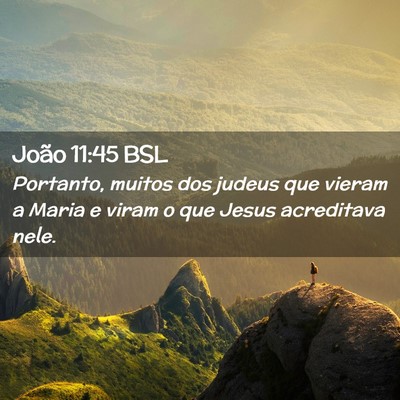 Picture 02 - João 11:45 BSL - Portanto, muitos dos judeus que vieram a Maria e - Bible Verse Picture