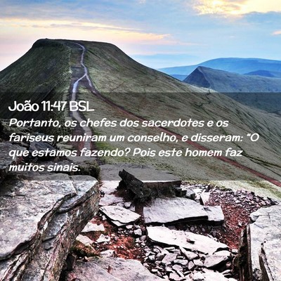 Picture 02 - João 11:47 BSL - Portanto, os chefes dos sacerdotes e os fariseus - Bible Verse Picture