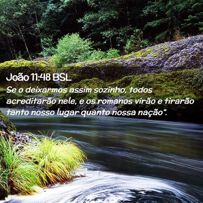 Picture 02 - João 11:48 BSL - Se o deixarmos assim sozinho, todos acreditarão - Bible Verse Picture