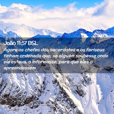 Picture 02 - João 11:57 BSL - Agora os chefes dos sacerdotes e os fariseus - Bible Verse Picture
