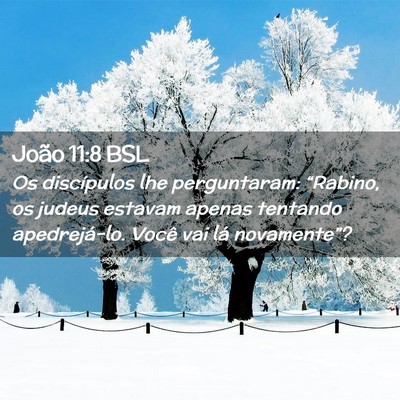 Picture 02 - João 11:8 BSL - Os discípulos lhe perguntaram: “Rabino, os - Bible Verse Picture