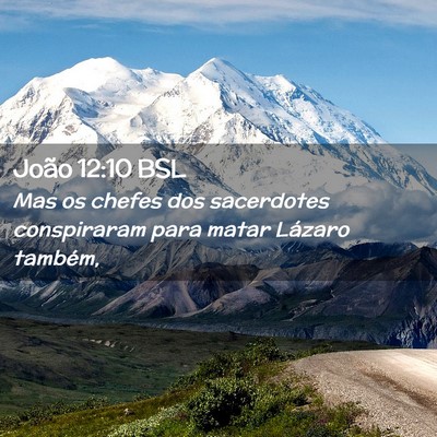 Picture 02 - João 12:10 BSL - Mas os chefes dos sacerdotes conspiraram para - Bible Verse Picture